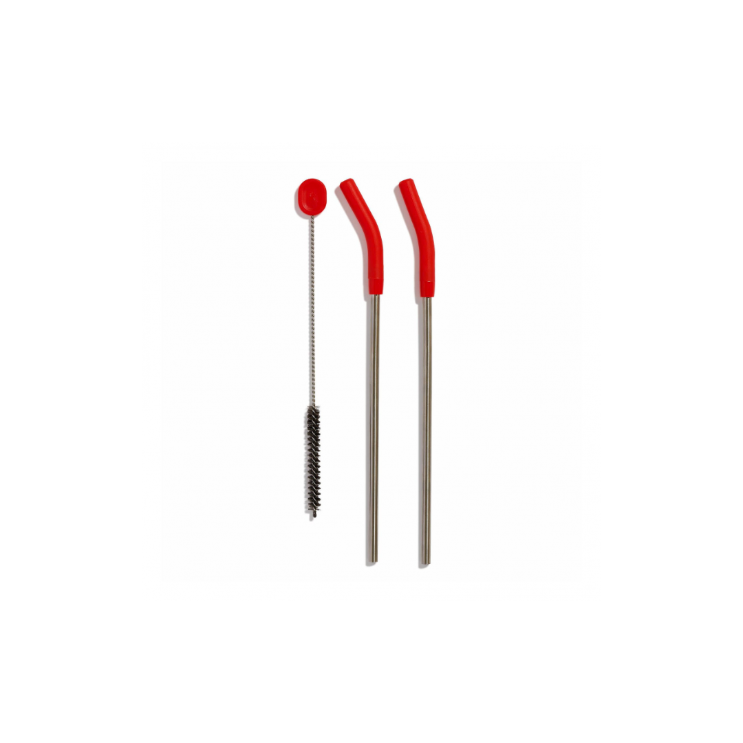 STAINLESS STEEL STRAW SET GOJI